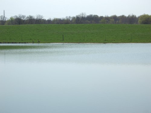 Property photo 5 - 188 Acres Offered in 5 Tracts